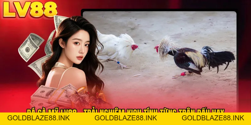 Đá Gà Mỹ LV88 - Trải Nghiệm Kịch Tính Từng Trận Đấu Hay - GOLDBLAZE88.INK