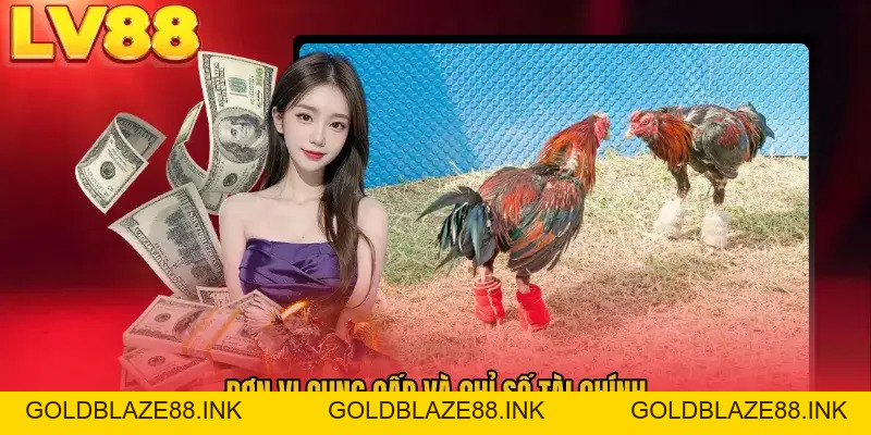 Đá Gà LV88 - Xem Trực Tiếp Sắc Nét, Cược Cực Dễ Dàng - GOLDBLAZE88.INK